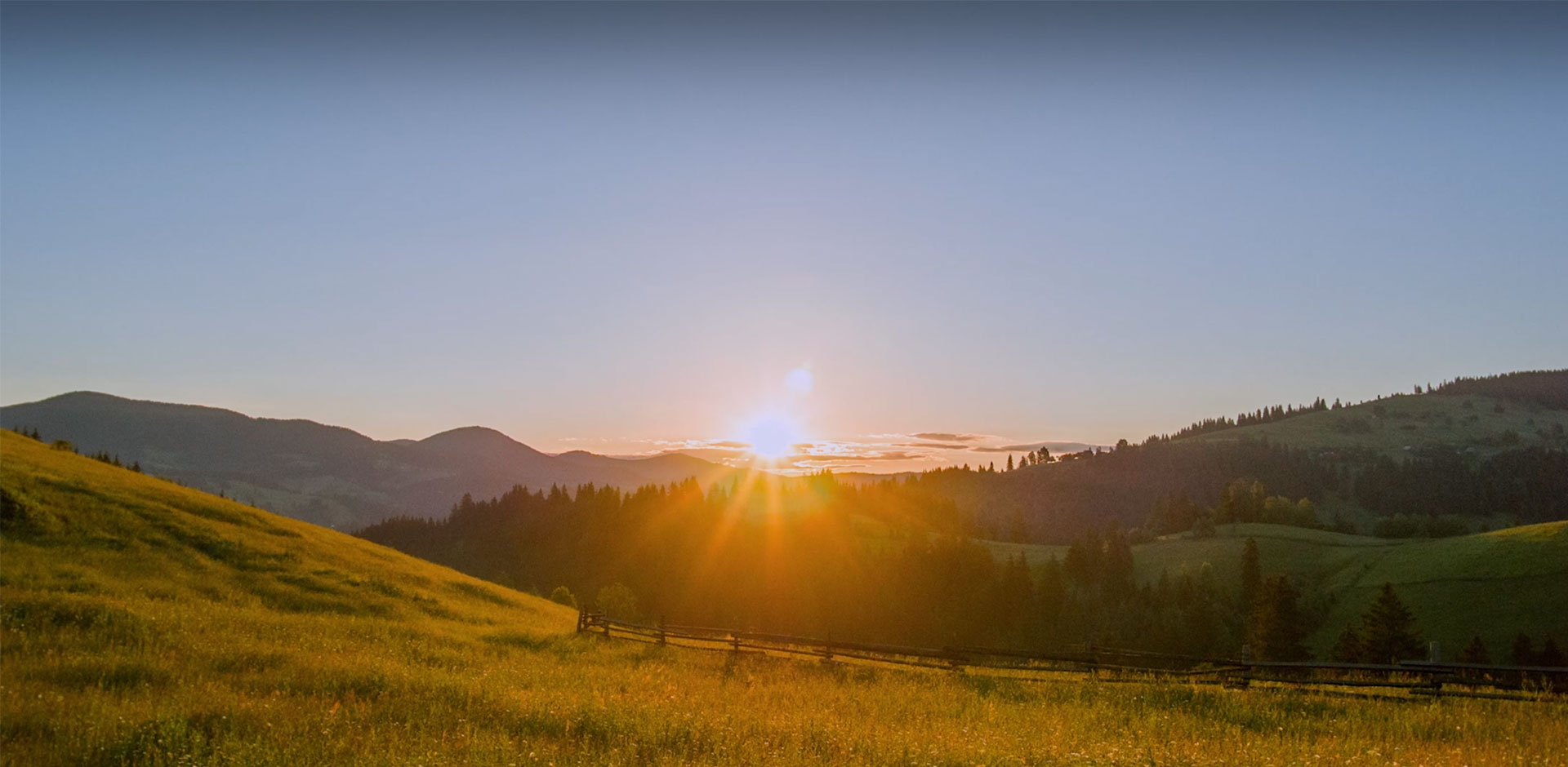 Solax hemsidans banner som visar kompletta lösningar för solenergi, energilagring och elbilsladdning.
